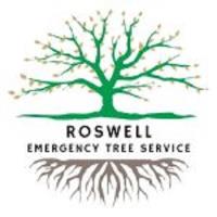 Roswell Emergency Tree Service image 1